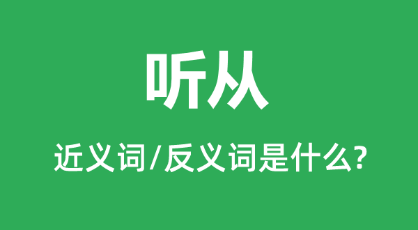 聽(tīng)從的近義詞和反義詞是什么,聽(tīng)從是什么意思