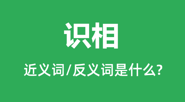 識(shí)相的近義詞和反義詞是什么,識(shí)相是什么意思