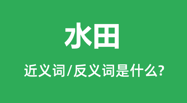 水田的近義詞和反義詞是什么,水田是什么意思