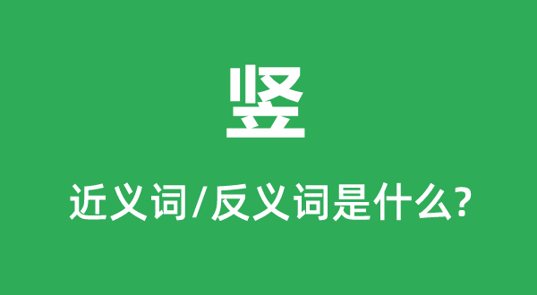 豎的近義詞和反義詞是什么,豎是什么意思