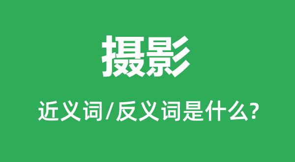 攝影的近義詞和反義詞是什么,攝影是什么意思