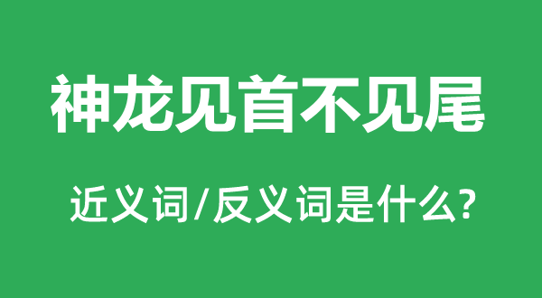 神龍見首不見尾的近義詞和反義詞是什么,神龍見首不見尾是什么意思