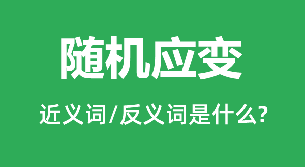 隨機應變的近義詞和反義詞是什么,隨機應變是什么意思