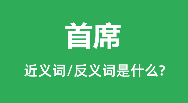 首席的近義詞和反義詞是什么,首席是什么意思
