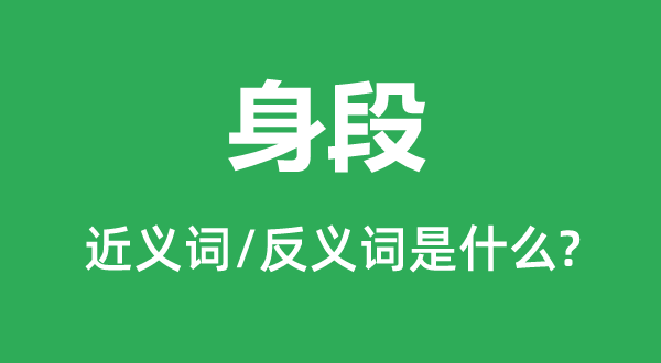 身段的近義詞和反義詞是什么,身段是什么意思