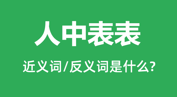 人中表表的近義詞和反義詞是什么,人中表表是什么意思