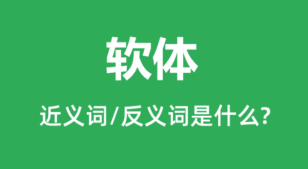 軟體的近義詞和反義詞是什么,軟體是什么意思