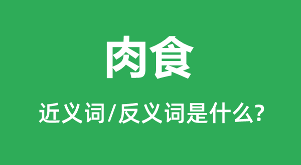 肉食的近義詞和反義詞是什么,肉食是什么意思