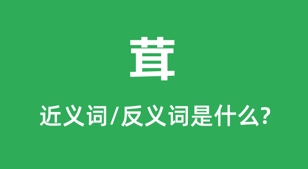 茸的近義詞和反義詞是什么,茸是什么意思