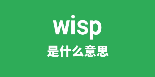wisp是什么意思