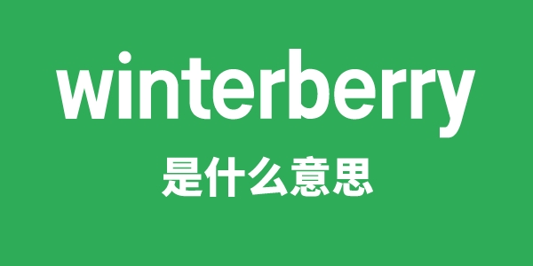 winterberry是什么意思