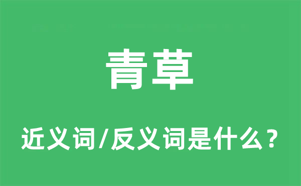 青草的近義詞和反義詞是什么,青草是什么意思
