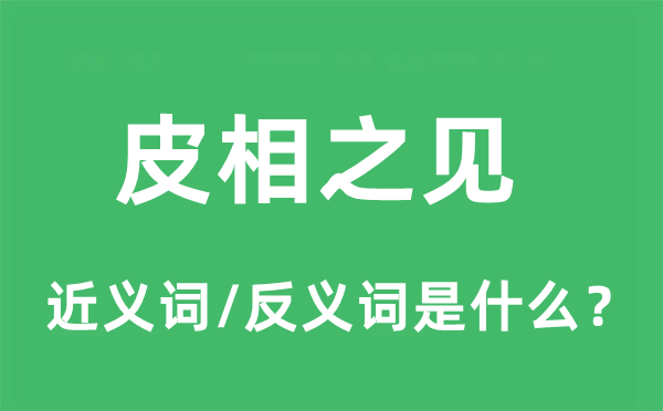 皮相之見的近義詞和反義詞是什么,皮相之見是什么意思