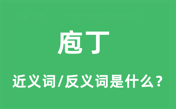 庖丁的近義詞和反義詞是什么,庖丁是什么意思