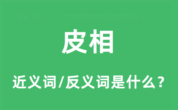 皮相的近義詞和反義詞是什么,皮相是什么意思
