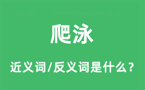 爬泳的近義詞和反義詞是什么,爬泳是什么意思