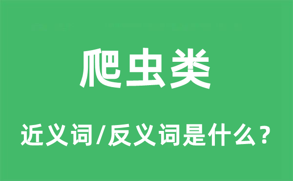 爬蟲(chóng)類(lèi)的近義詞和反義詞是什么,爬蟲(chóng)類(lèi)是什么意思