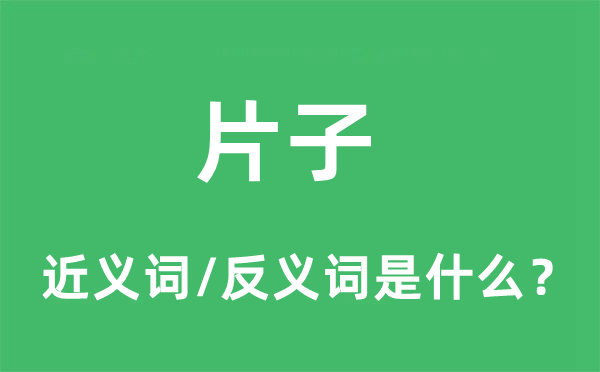 片子的近義詞和反義詞是什么,片子是什么意思