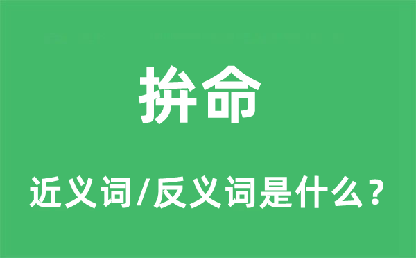 拚命的近義詞和反義詞是什么,拚命是什么意思