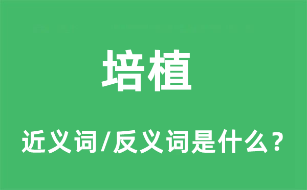 培植的近義詞和反義詞是什么,培植是什么意思