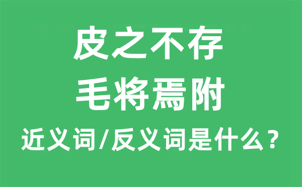 皮之不存，毛將焉附的近義詞和反義詞是什么,皮之不存，毛將焉附是什么意思