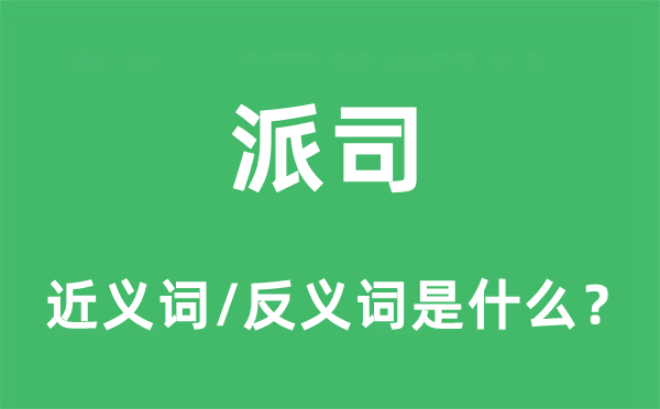 派司的近義詞和反義詞是什么,派司是什么意思