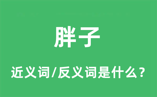 胖子的近義詞和反義詞是什么,胖子是什么意思