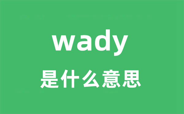 wady是什么意思