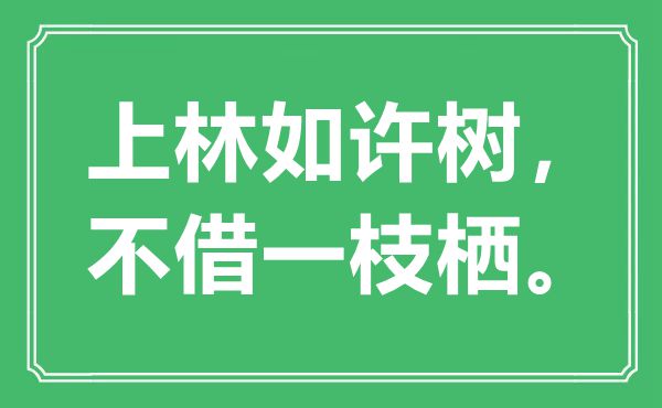 “上林如許樹(shù)，不借一枝棲”是什么意思,出處是哪里
