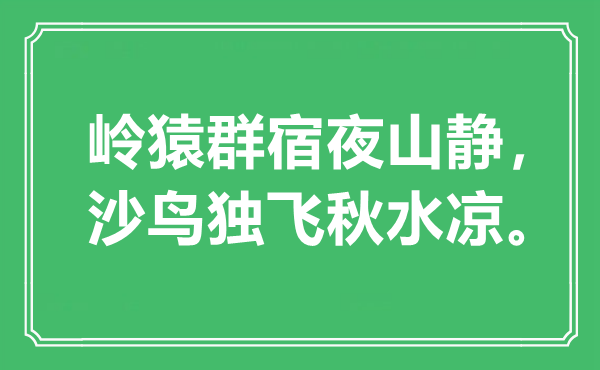 “嶺猿群宿夜山靜，沙鳥獨飛秋水涼”是什么意思,出處是哪里