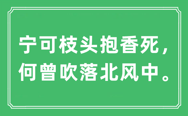 “寧可枝頭抱香死，何曾吹落北風中?！笔鞘裁匆馑?出處及原文翻譯