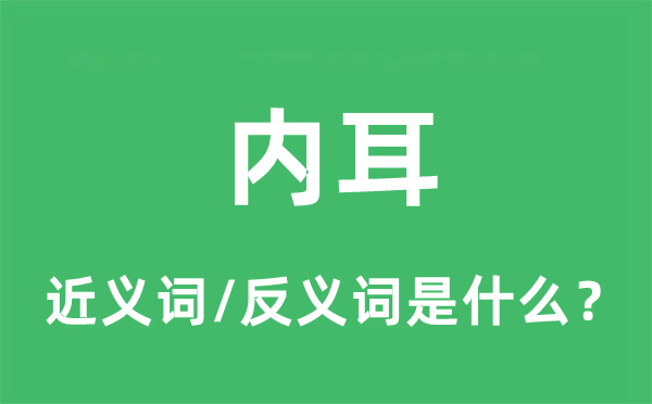 內(nèi)耳的近義詞和反義詞是什么,內(nèi)耳是什么意思