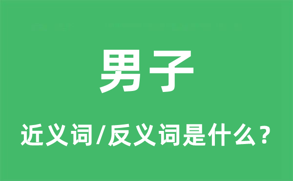 男子的近義詞和反義詞是什么,男子是什么意思