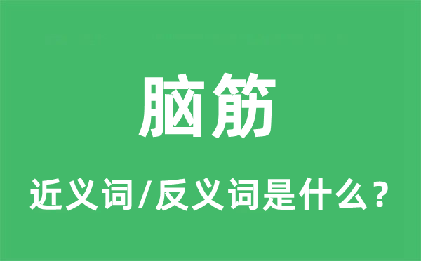 腦筋的近義詞和反義詞是什么,腦筋是什么意思