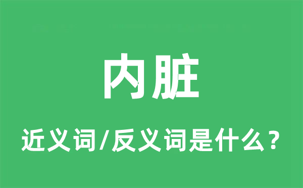 內(nèi)臟的近義詞和反義詞是什么,內(nèi)臟是什么意思