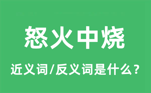 怒火中燒的近義詞和反義詞是什么,怒火中燒是什么意思
