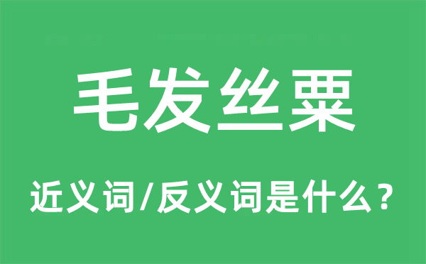 毛發(fā)絲粟的近義詞和反義詞是什么,毛發(fā)絲粟是什么意思