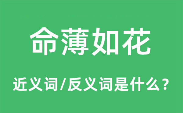 命薄如花的近義詞和反義詞是什么,命薄如花是什么意思