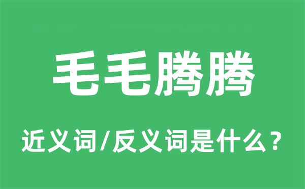 毛毛騰騰的近義詞和反義詞是什么,毛毛騰騰是什么意思