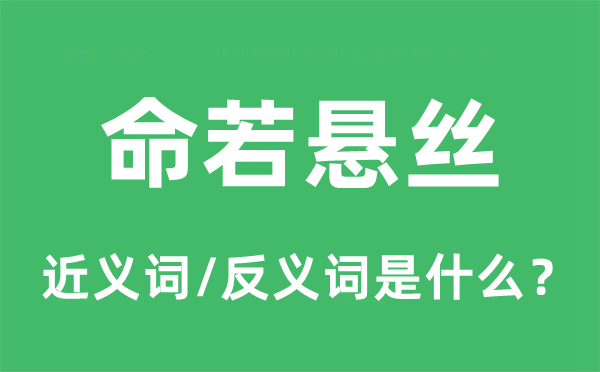命若懸絲的近義詞和反義詞是什么,命若懸絲是什么意思