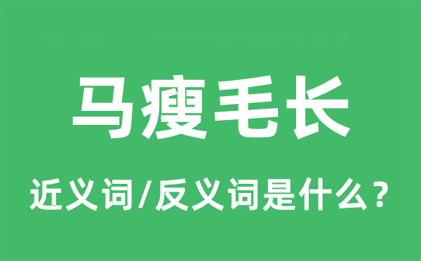 馬瘦毛長的近義詞和反義詞是什么,馬瘦毛長是什么意思