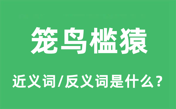 籠鳥(niǎo)檻猿的近義詞和反義詞是什么,籠鳥(niǎo)檻猿是什么意思