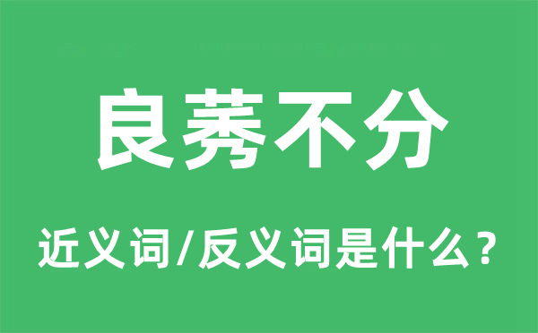 良莠不分的近義詞和反義詞是什么,良莠不分是什么意思