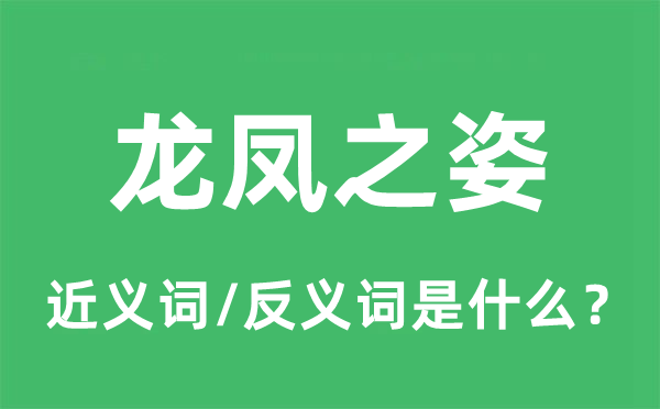 龍鳳之姿的近義詞和反義詞是什么,龍鳳之姿是什么意思