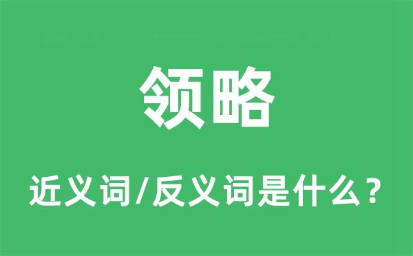領略的近義詞和反義詞是什么,領略是什么意思