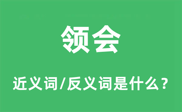 領會的近義詞和反義詞是什么,領會是什么意思
