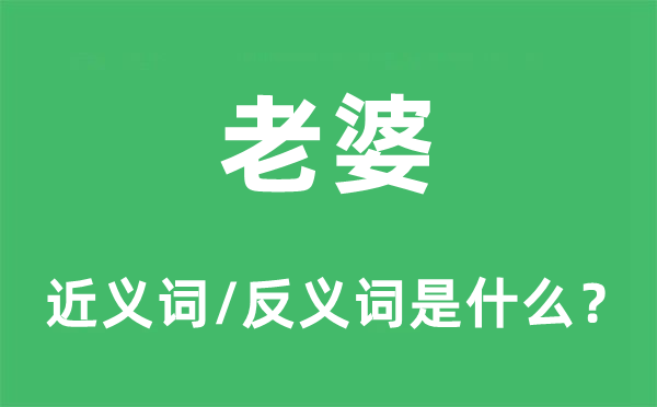 老婆的近義詞和反義詞是什么,老婆是什么意思