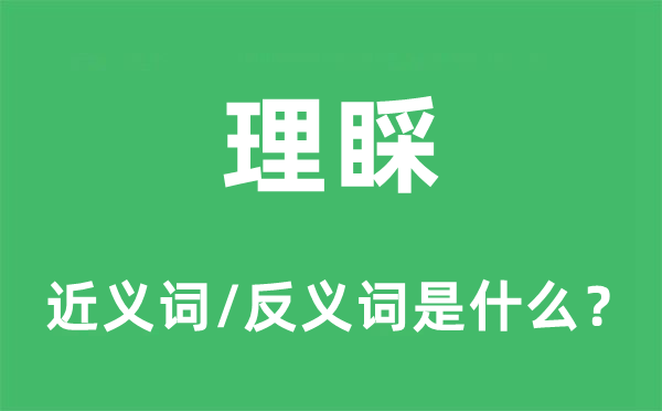 理睬的近義詞和反義詞是什么,理睬是什么意思