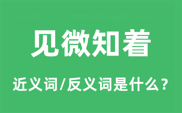 見(jiàn)微知著的近義詞和反義詞是什么,見(jiàn)微知著是什么意思