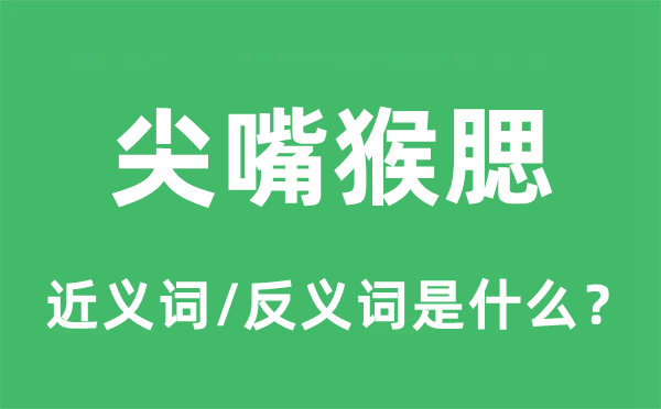 尖嘴猴腮的近義詞和反義詞是什么,尖嘴猴腮是什么意思